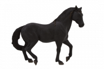 Mojo Animal Planet Andaluský černý kůň