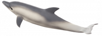 Mojo Animal Planet Delfín
