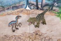 Dřevěné hračky Animal Planet 3D batoh Dinosauři