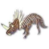 Woodcraft Dřevěné 3D puzzle Styracosaurus barevný