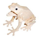 Woodcraft Dřevěné 3D puzzle žába
