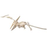 Woodcraft Dřevěné 3D puzzle Pteranodon