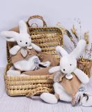 Dřevěné hračky Doudou Dárková sada - Plyšový králíček s muchláčkem 25 cm béžová Doudou et Compagnie Paris