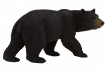 Mojo Medvěd baribal