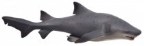Mojo Žralok bělavý velký