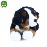 Dřevěné hračky Rappa Plyšový bernský salašnický pes ležící 23 cm ECO-FRIENDLY