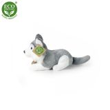 Dřevěné hračky Rappa Plyšový pes Husky 17 cm ECO-FRIENDLY šedá