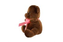 Dřevěné hračky Medvěd/Medvídek sedící s mašlí plyš 15cm tmavě hnědý v sáčku 0+ Teddies