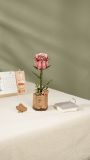 Dřevěné hračky RoboTime Dřevěné 3D puzzle Růžová růže