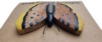 Dřevěné hračky Dvěděti Dřevěná magnetka velká Motýl