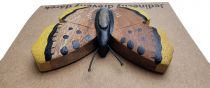 Dřevěné hračky Dvěděti Dřevěná magnetka velká Motýl